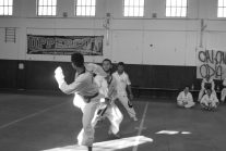 Nella foto - Laboratorio Sociale Alessandria