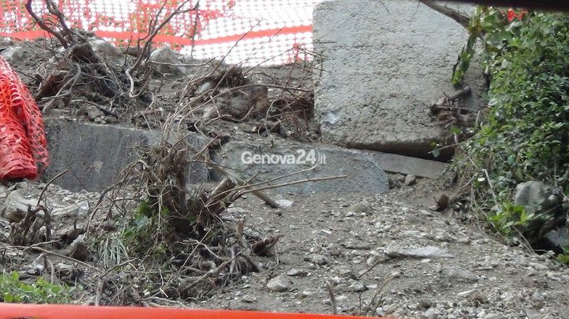Trasta, incidente nel cantiere del Terzo Valico: due piloni di cemento franano su un pollaio. Un operaio lievemente ferito 1 - Laboratorio Sociale Alessandria Nella foto - Laboratorio Sociale Alessandria