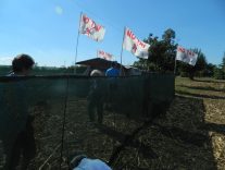 Nella foto - Laboratorio Sociale Alessandria