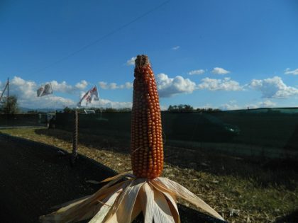 Nella foto - Laboratorio Sociale Alessandria