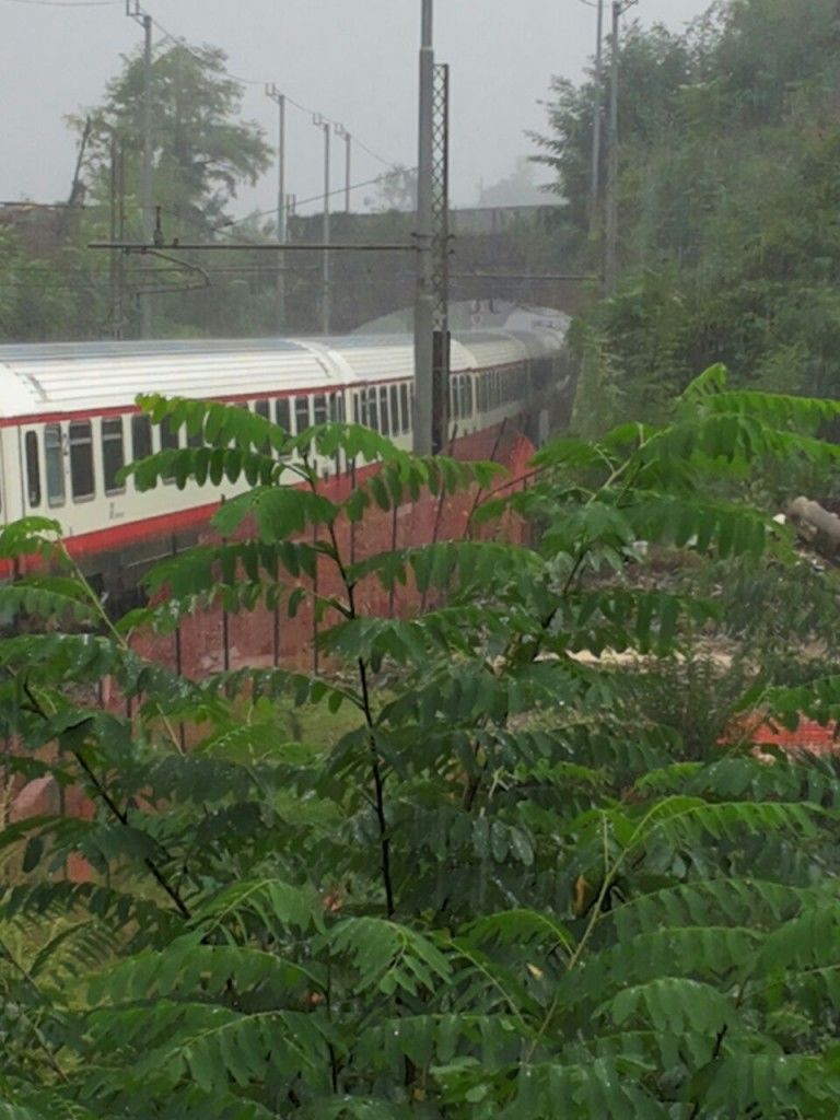 Maltempo, deraglia treno. NoTav: “Frana causata da disboscamento per Terzo Valico” 1 - Laboratorio Sociale Alessandria Nella foto - Laboratorio Sociale Alessandria